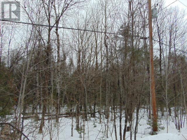 LOT 11 PLAN 580 NORTH DRIVE, Dysart et al, Ontario