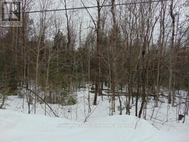 Lot 11 Plan 580 North Drive, Dysart Et Al, Ontario  K0M 1S0 - Photo 2 - X12898396