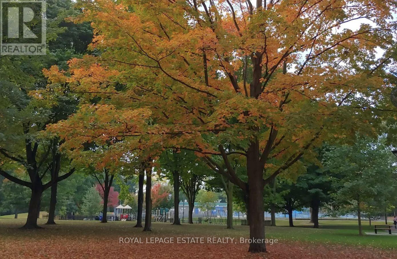 18 Bastedo Avenue, Toronto (Woodbine Corridor), Ontario  M4C 3M7 - Photo 43 - E12898404