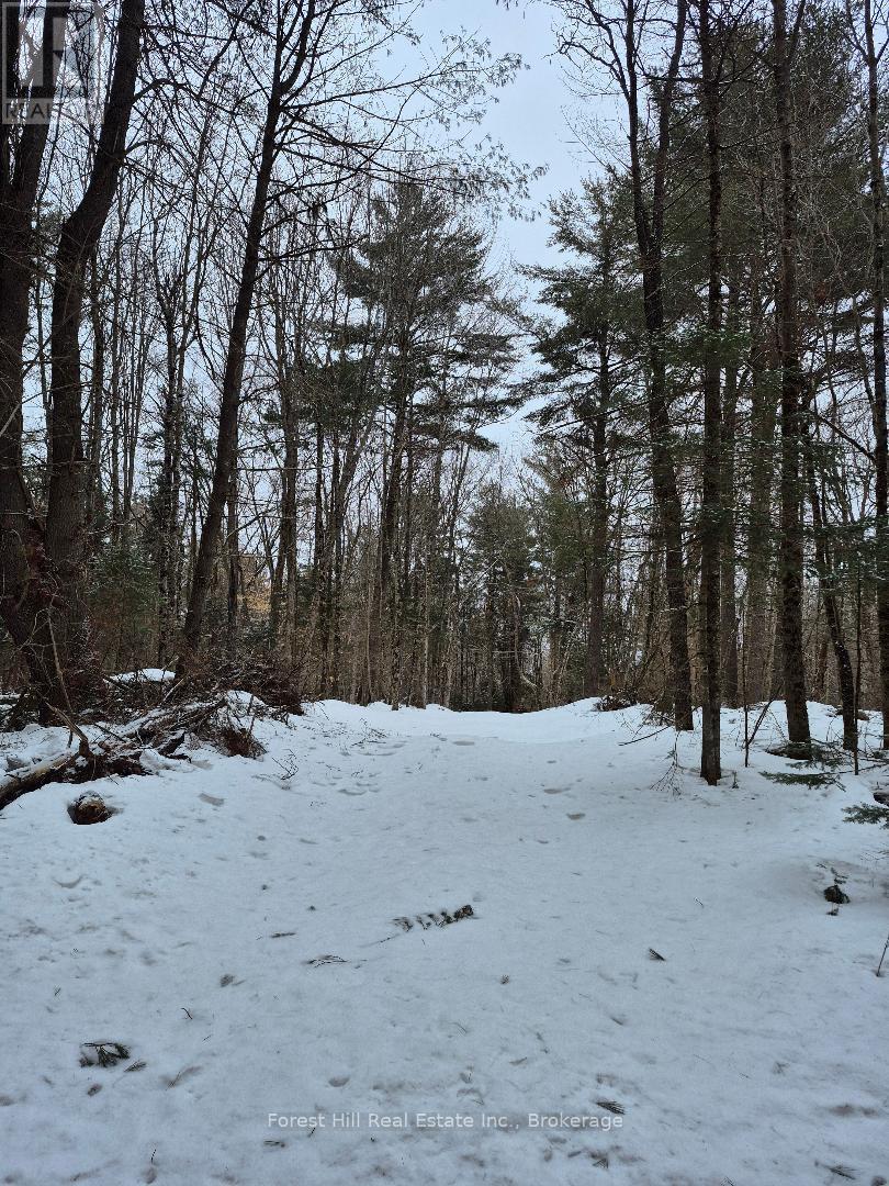 247 Woodland Drive, Mcmurrich/monteith (Mcmurrich), Ontario  P0A 1Y0 - Photo 2 - X12898454