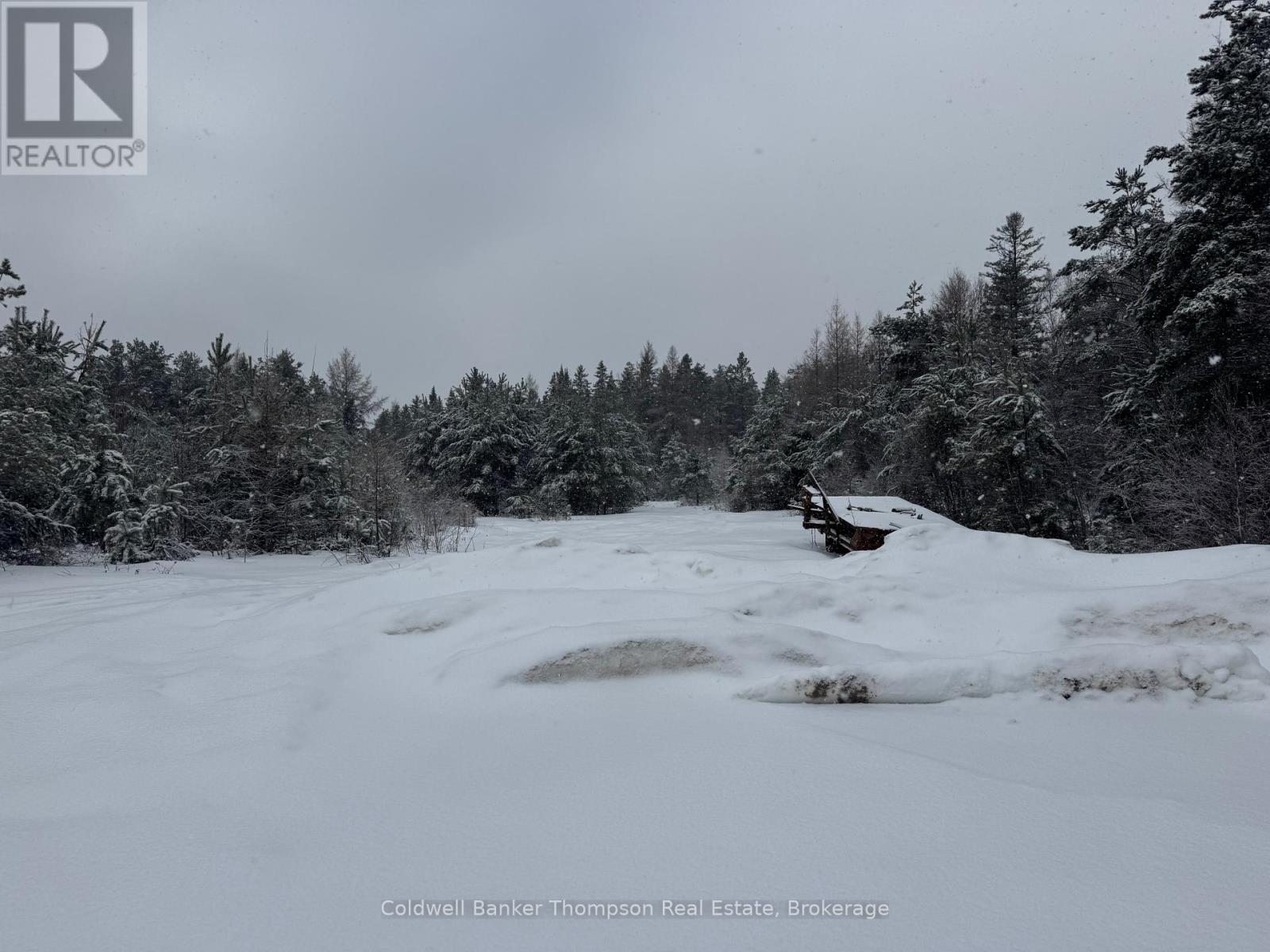 605 Sweezy Street, Powassan, Ontario  P0H 2L0 - Photo 16 - X12898496