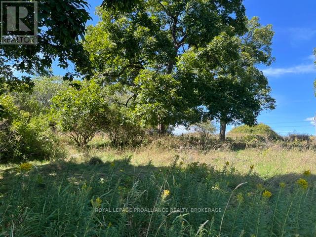 Lot 10 Elizabeth Street, Frontenac Islands, Ontario  K0H 2Y0 - Photo 11 - X12898428