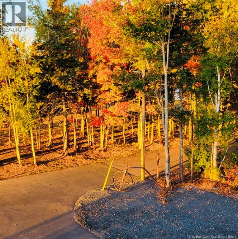 11540 Route 11, Pokemouche, New Brunswick  E8P 1K2 - Photo 14 - NB134874