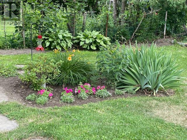 20 Burnstown Road, Mcnab/braeside, Ontario  K0A 3L0 - Photo 30 - X12898644