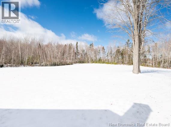 59 Emmanuel Road, Collette, New Brunswick  E4Y 1G3 - Photo 4 - NB135320