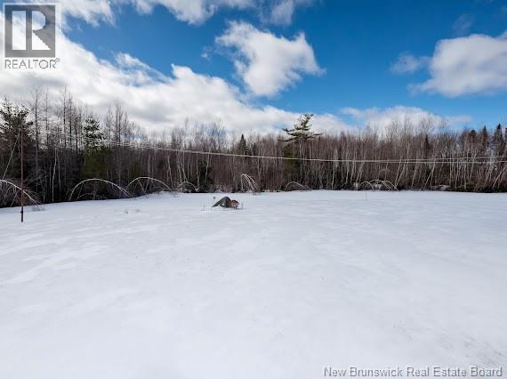 59 Emmanuel Road, Collette, New Brunswick  E4Y 1G3 - Photo 8 - NB135320