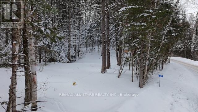 1272 Ursa Road, Highlands East, Ontario  K0M 1S0 - Photo 10 - X12898746
