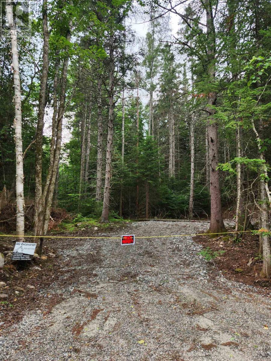 1272 Ursa Road, Highlands East, Ontario  K0M 1S0 - Photo 2 - X12898746