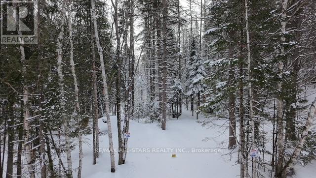 1272 Ursa Road, Highlands East, Ontario  K0M 1S0 - Photo 3 - X12898746