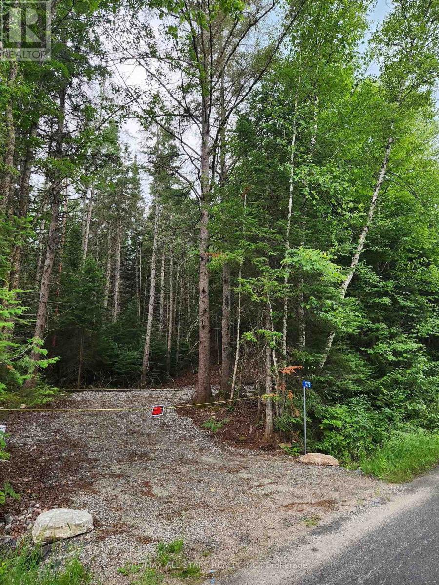 1272 Ursa Road, Highlands East, Ontario  K0M 1S0 - Photo 4 - X12898746