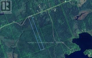 1272 Ursa Road, Highlands East, Ontario  K0M 1S0 - Photo 6 - X12898746