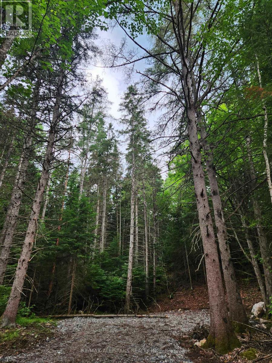 1272 Ursa Road, Highlands East, Ontario  K0M 1S0 - Photo 7 - X12898746