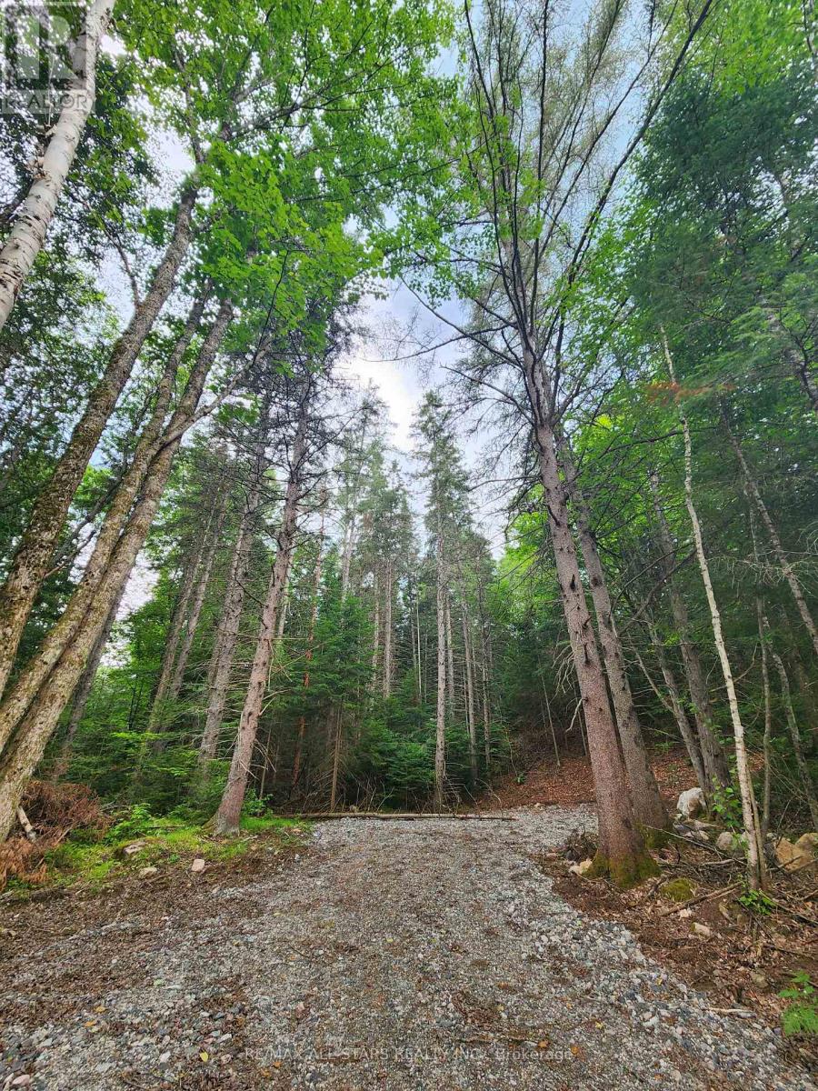 1272 Ursa Road, Highlands East, Ontario  K0M 1S0 - Photo 8 - X12898746