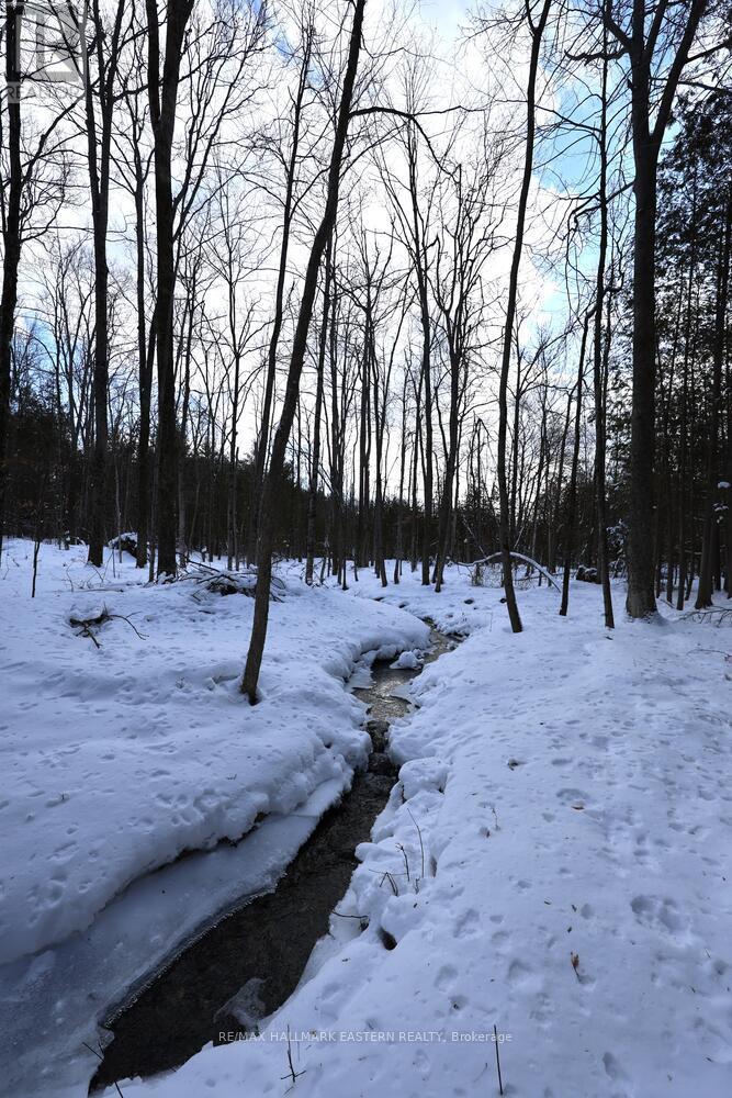 2160 County Road 46, Havelock-Belmont-Methuen, Ontario  K0L 1Z0 - Photo 10 - X12898934