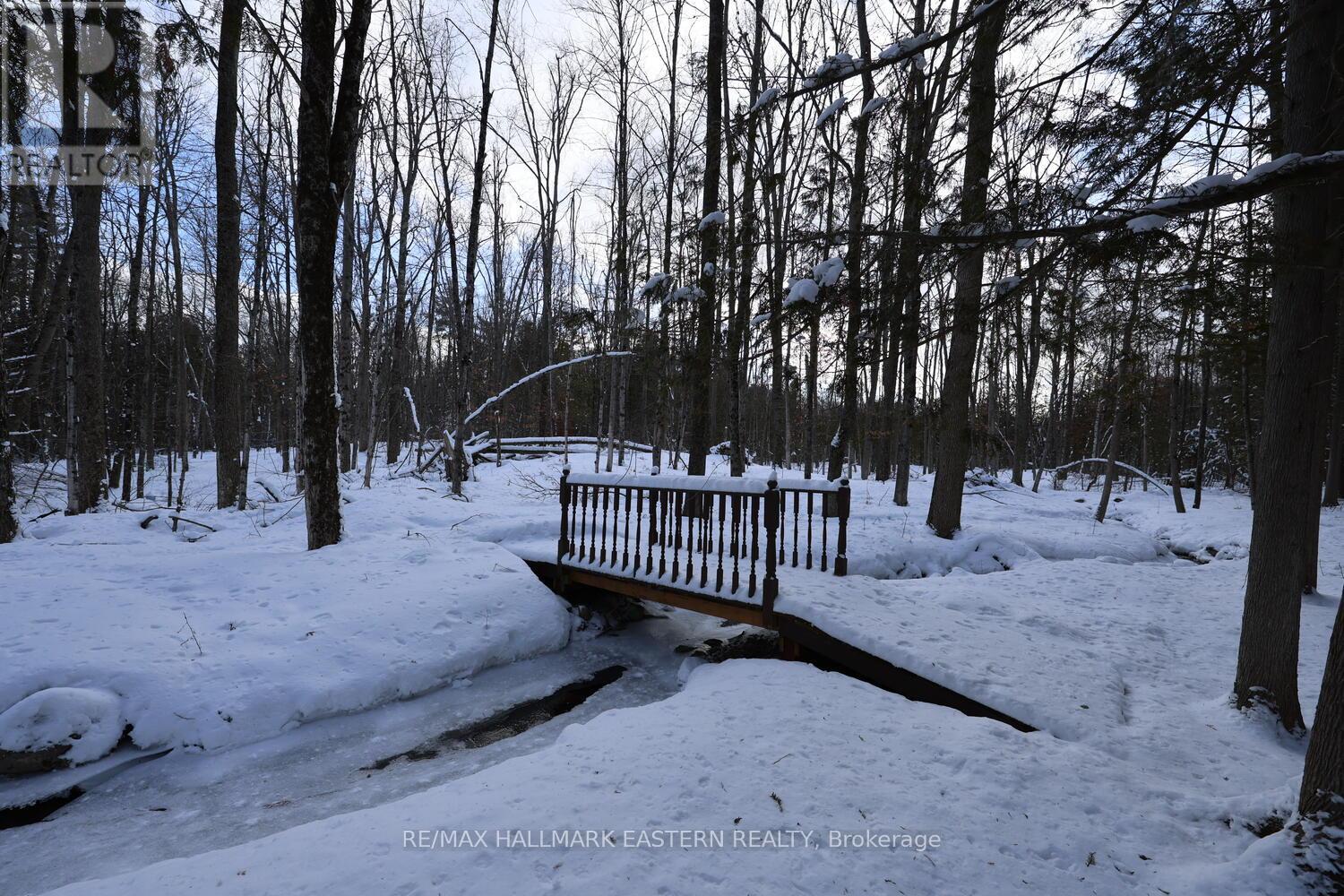 2160 County Road 46, Havelock-Belmont-Methuen, Ontario  K0L 1Z0 - Photo 4 - X12898934