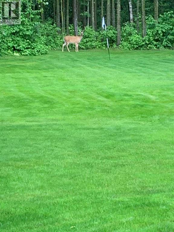 111 Crystal Springs Drive, Crystal Springs, Alberta  T0C 2V0 - Photo 45 - A2293960