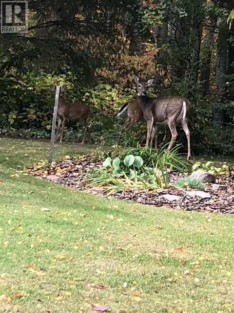 111 Crystal Springs Drive, Crystal Springs, Alberta  T0C 2V0 - Photo 47 - A2293960
