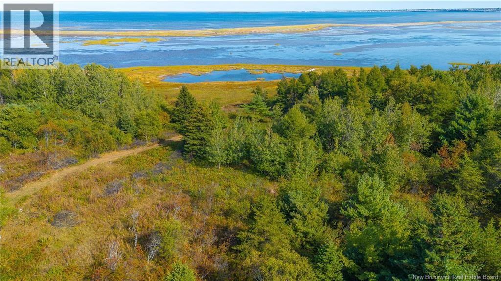 Lot Olivier Road, Maisonnette, New Brunswick  E8N 2A2 - Photo 10 - NB126481