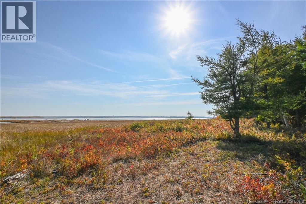 Lot Olivier Road, Maisonnette, New Brunswick  E8N 2A2 - Photo 23 - NB126481