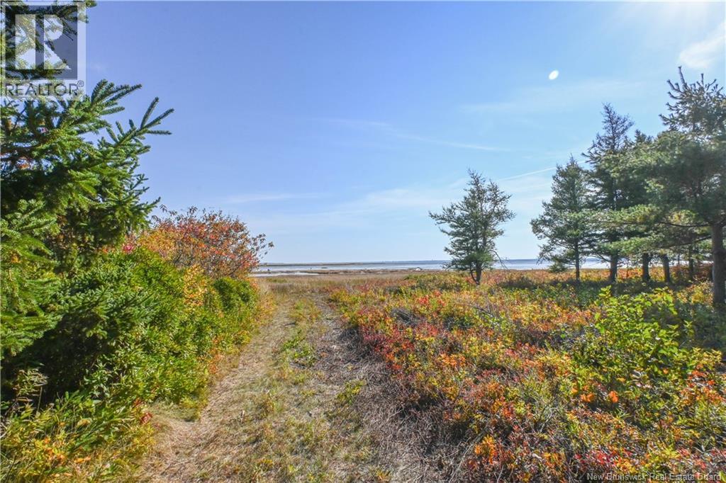 Lot Olivier Road, Maisonnette, New Brunswick  E8N 2A2 - Photo 20 - NB126481