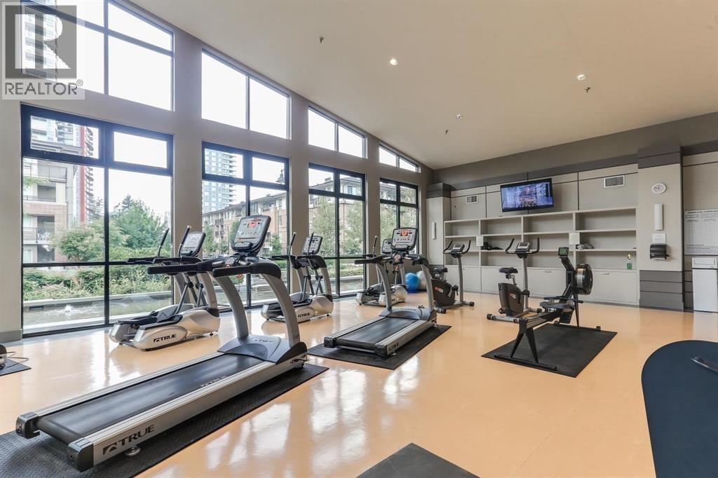 308 1151 Windsor Mews, Coquitlam, British Columbia  V3B 0M9 - Photo 35 - R3101282