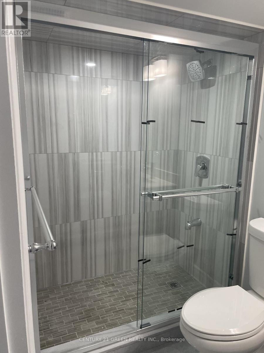 Basement - 868 Sumac Crescent, Milton, Ontario  L9E 1R8 - Photo 5 - W12898738