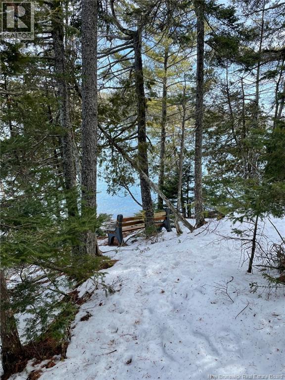 393 Hills Point Road, Oak Bay, New Brunswick  E3L 4J9 - Photo 49 - NB134196