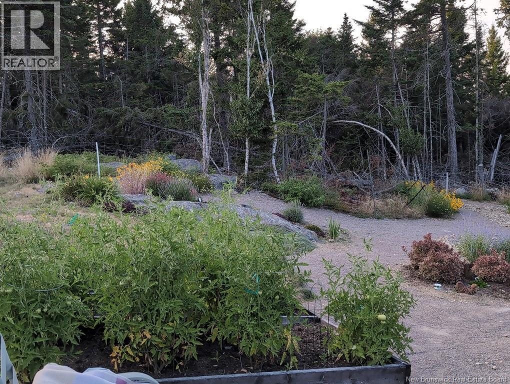 393 Hills Point Road, Oak Bay, New Brunswick  E3L 4J9 - Photo 40 - NB134196