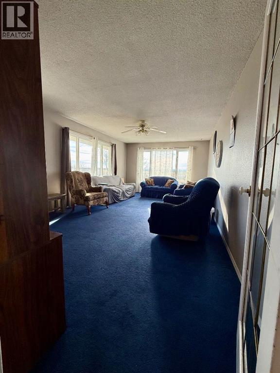 14028 Twp Rd 1062, Rural Mackenzie County, Alberta  T0H 2H0 - Photo 22 - A2265923