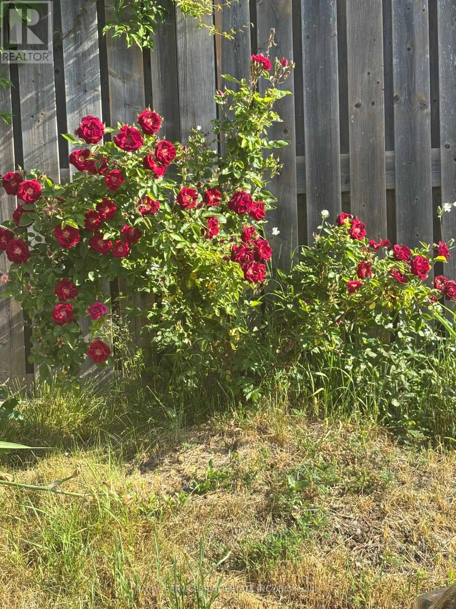 12 Park Street, Port Hope, Ontario  L1A 1C1 - Photo 30 - X12899110