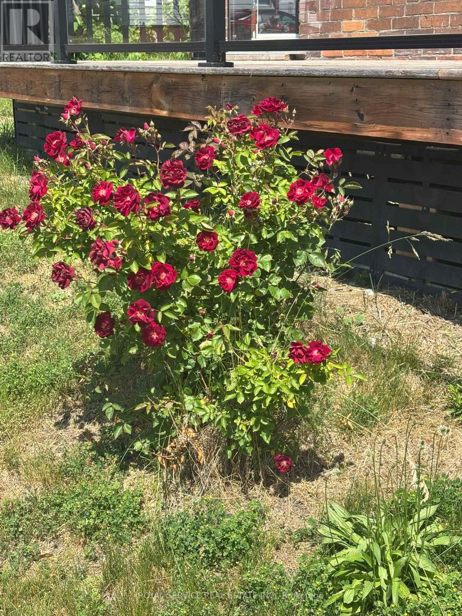 12 Park Street, Port Hope, Ontario  L1A 1C1 - Photo 31 - X12899110