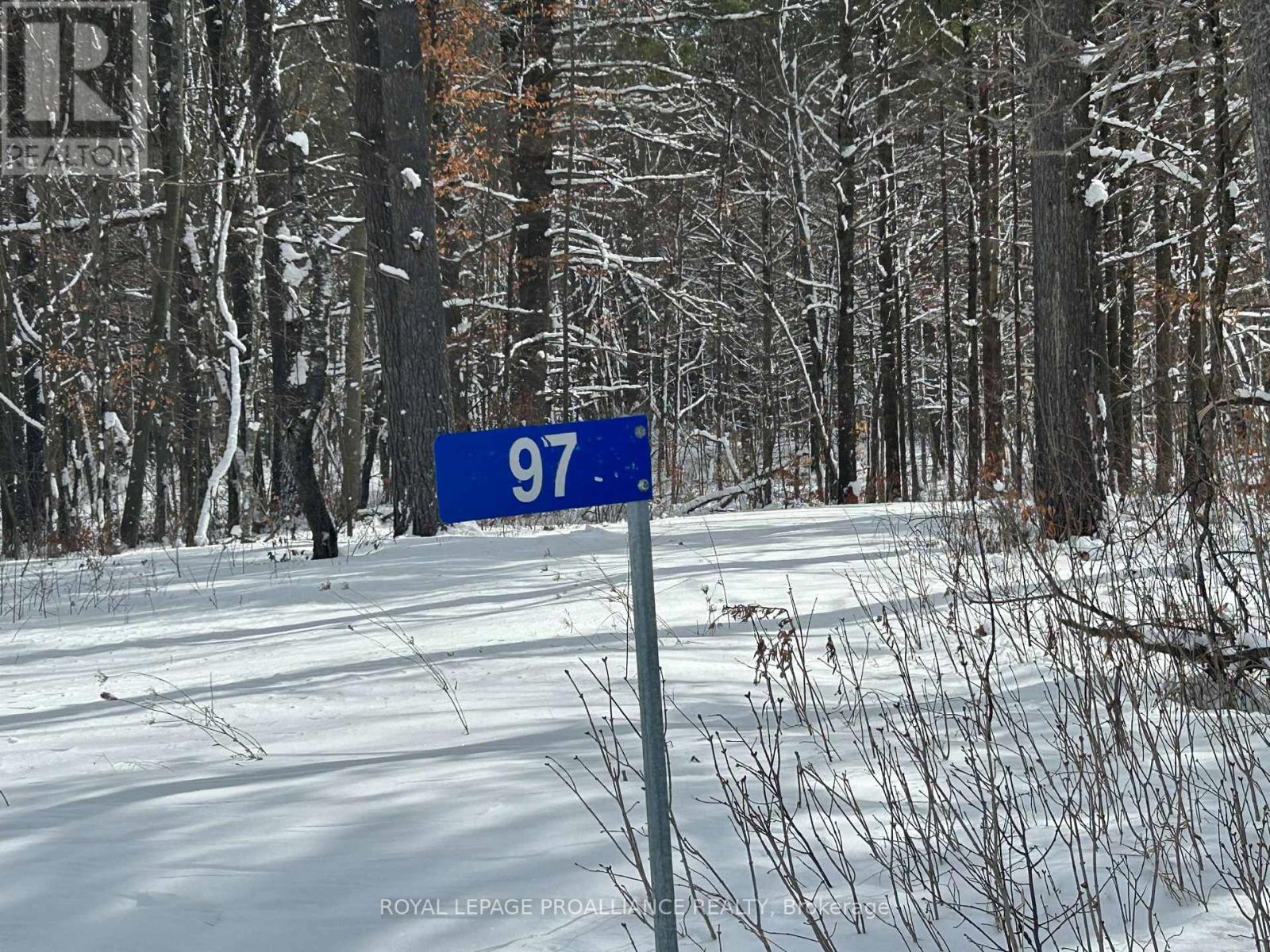 97 Greenly Road, Trent Hills, Ontario  K0K 3K0 - Photo 10 - X12899124