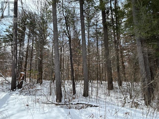 97 Greenly Road, Trent Hills, Ontario  K0K 3K0 - Photo 3 - X12899124