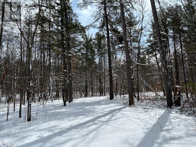 97 Greenly Road, Trent Hills, Ontario  K0K 3K0 - Photo 4 - X12899124