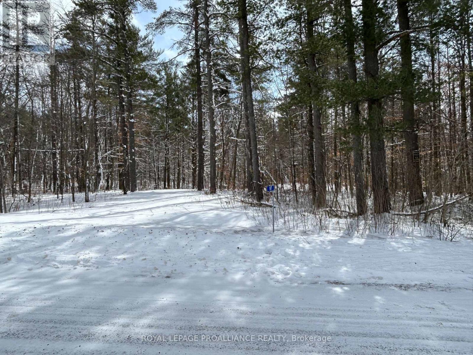 97 Greenly Road, Trent Hills, Ontario  K0K 3K0 - Photo 5 - X12899124