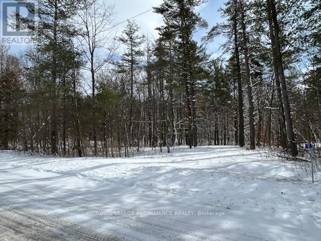 97 Greenly Road, Trent Hills, Ontario  K0K 3K0 - Photo 6 - X12899124