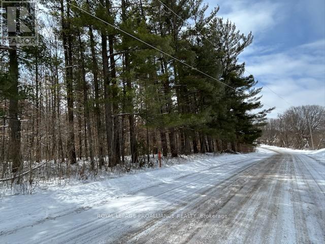 97 Greenly Road, Trent Hills, Ontario  K0K 3K0 - Photo 8 - X12899124