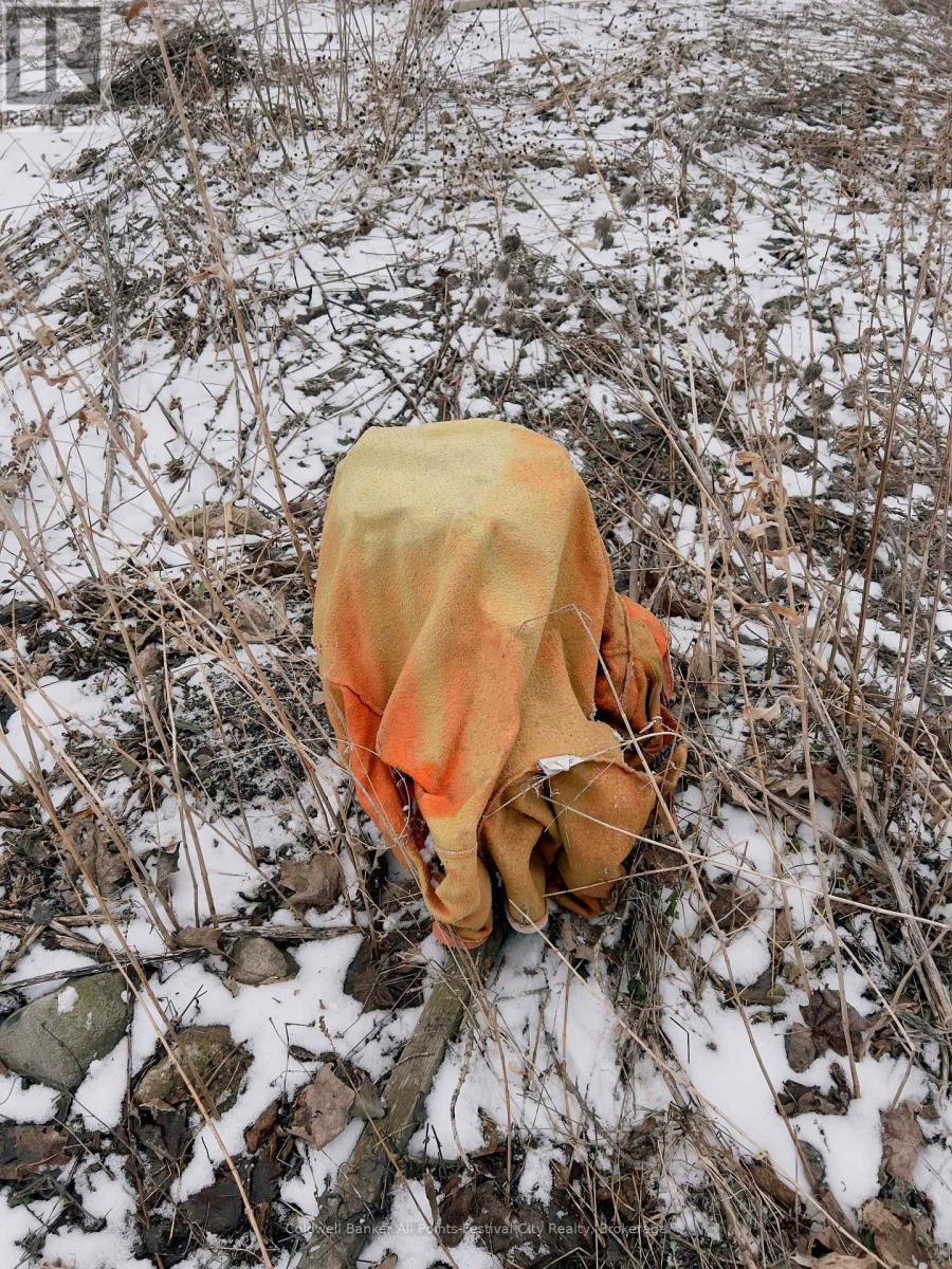 37142 Hawkins Road, Ashfield-Colborne-Wawanosh, Ontario  N0M 1E0 - Photo 14 - X12892394