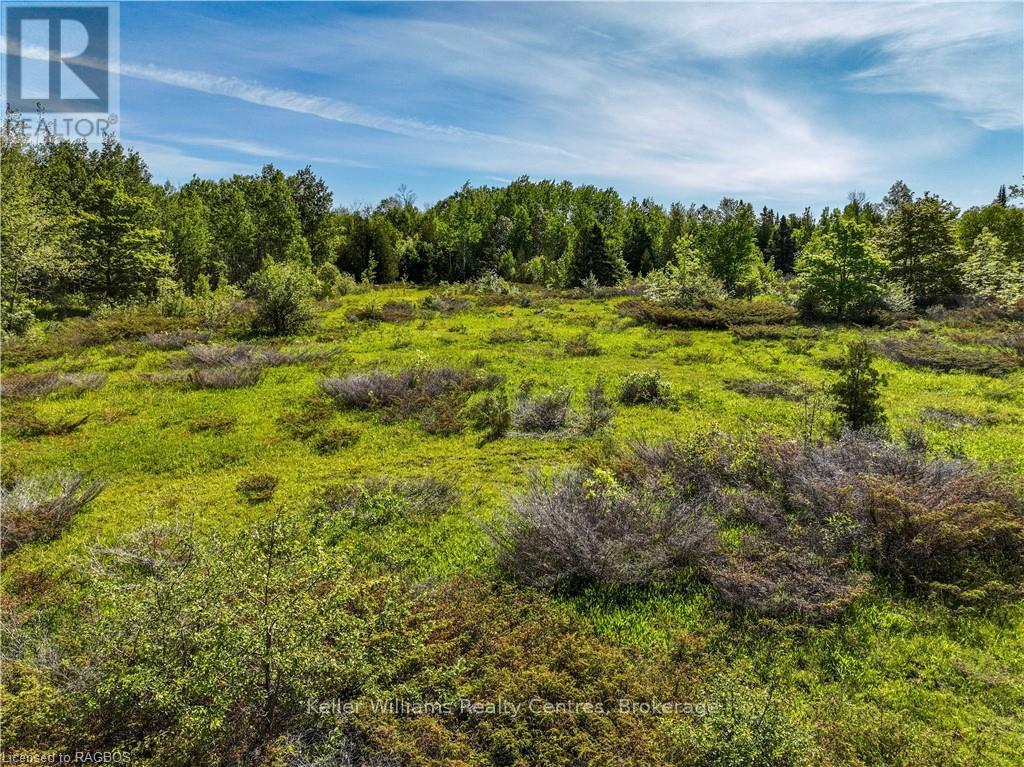 Lot 39 Bartley Drive, Northern Bruce Peninsula, Ontario  N0H 1Z0 - Photo 13 - X12899188