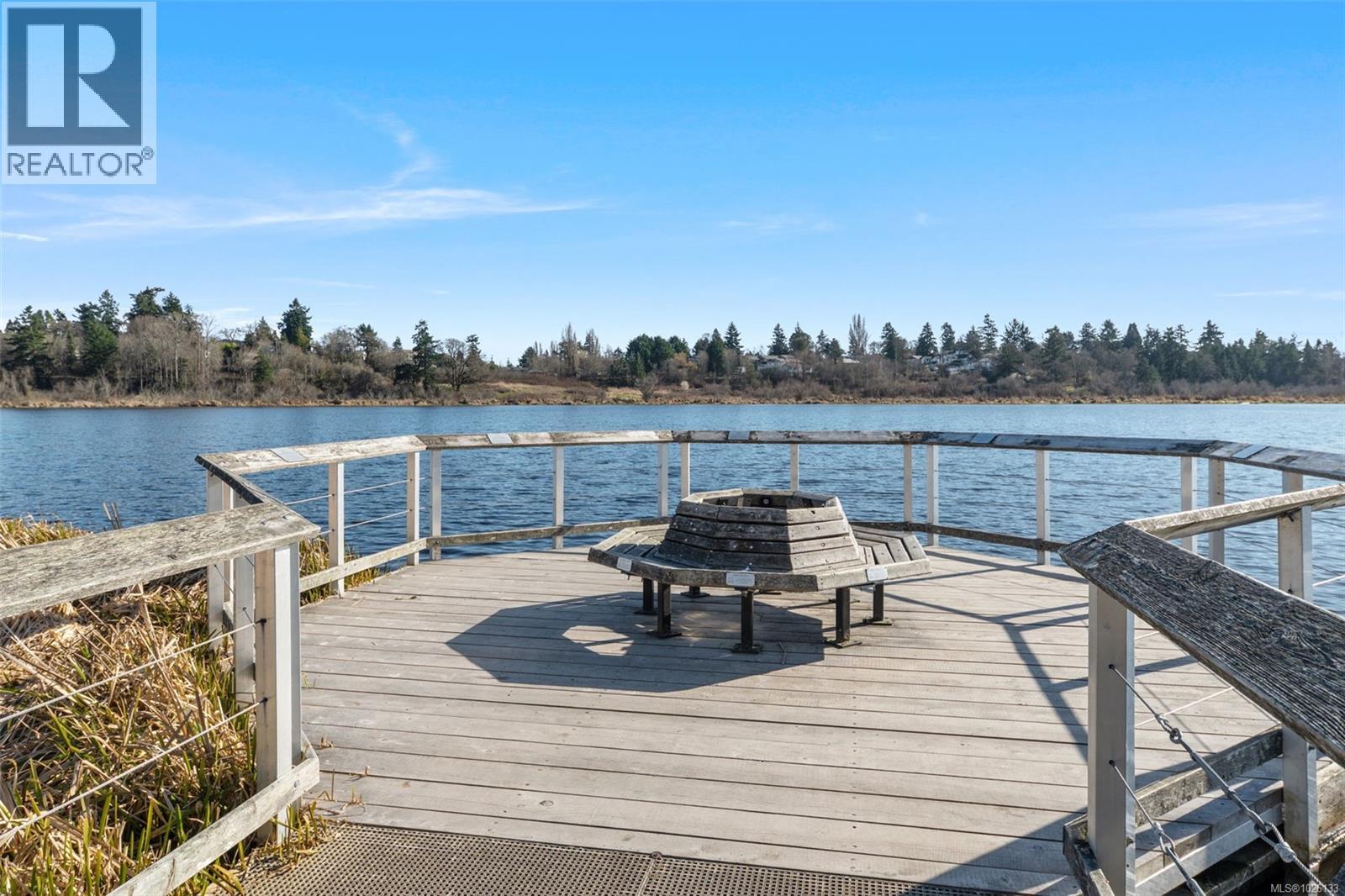 842 Canterbury Rd, Saanich, British Columbia  V8X 3E6 - Photo 42 - 1026133