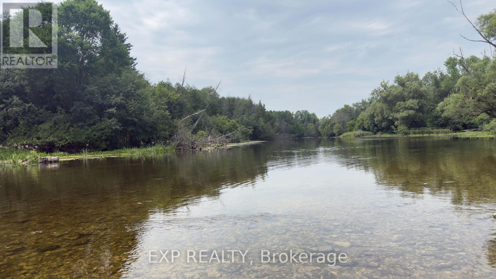 202 - 91 Conroy Crescent, Guelph, Ontario  N1G 2V5 - Photo 23 - X12899338