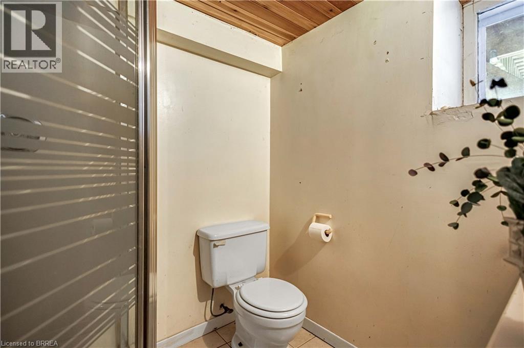 58 Lorne Crescent, Brantford, Ontario  N3T 4L7 - Photo 37 - 40812998