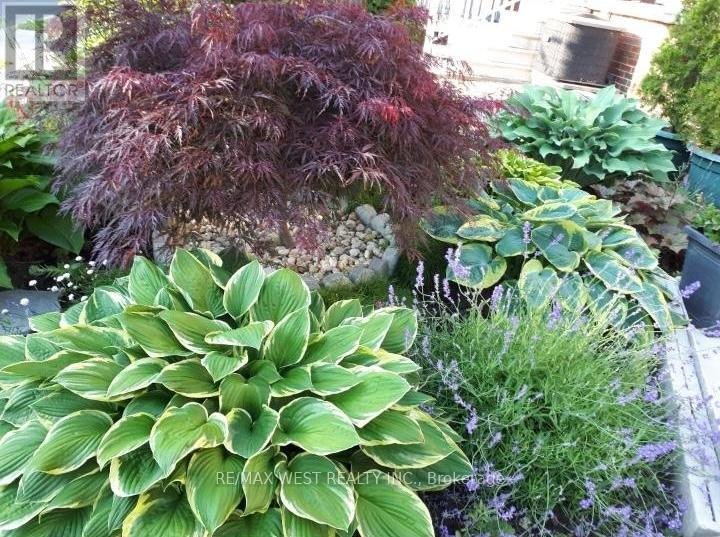 746 Gladstone Avenue, Toronto, Ontario  M6H 3J6 - Photo 39 - W12898752