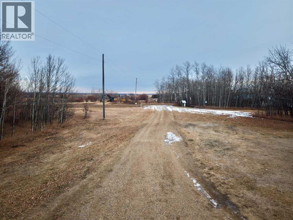 81044 Range Road 201, Rural Northern Sunrise County, Alberta  T0H 2R0 - Photo 13 - A2275990