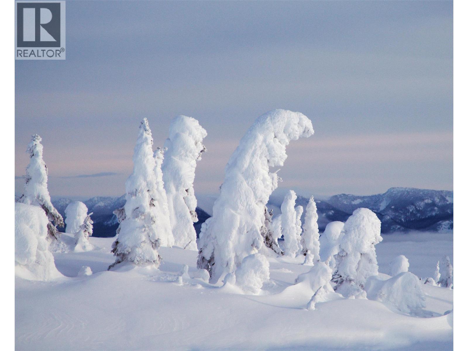 4940 Snowpines Road Unit# B, Big White, British Columbia V0H 0H0 - Photo 39 - 10373112