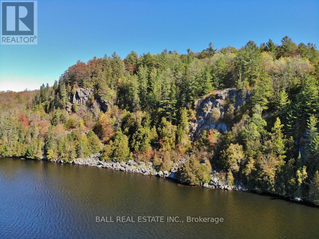 1144 Jordan Lake Road, Highlands East, Ontario  K0L 2A0 - Photo 43 - X12899558