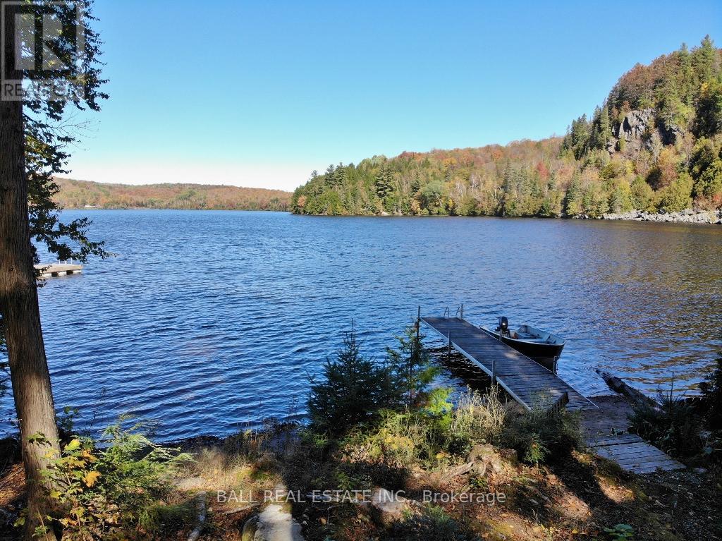 1144 Jordan Lake Road, Highlands East, Ontario  K0L 2A0 - Photo 5 - X12899558