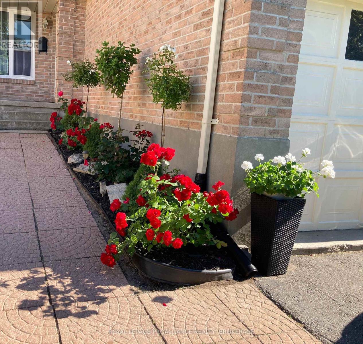 4 Balmoral Court, Kingston (West Of Sir John A. Blvd), Ontario  K7M 7S9 - Photo 50 - X12899590