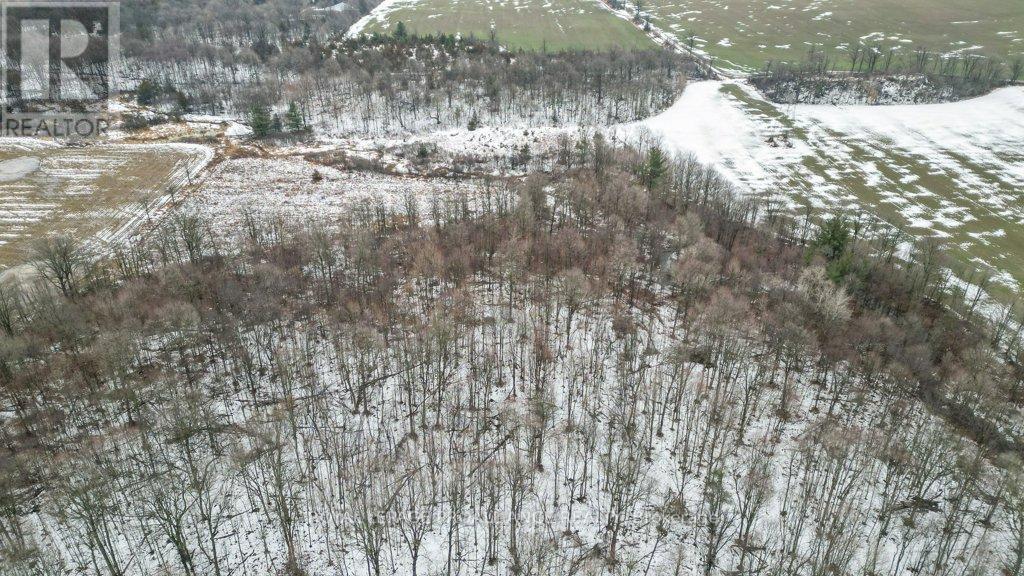 256 Moira Road, Centre Hastings, Ontario  K0K 3E0 - Photo 43 - X12899552