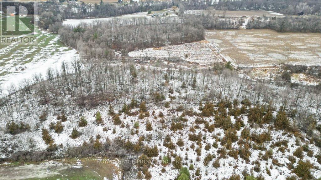 256 Moira Road, Centre Hastings, Ontario  K0K 3E0 - Photo 48 - X12899552